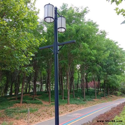 天光世紀(jì)星-3米4米小區(qū)公園庭院燈戶外LED燈