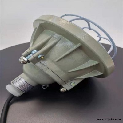 LED防爆燈100w倉(cāng)庫(kù)加油站工廠防爆投光燈200w泛光照明燈