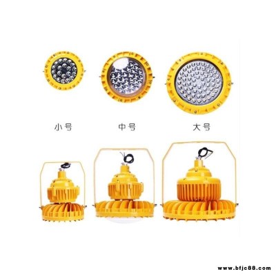 led防爆燈加油站化工廠車間應(yīng)急燈防水投光燈廠家批發(fā)30w