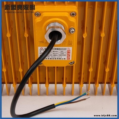 led防爆燈防爆照明燈防爆LED照明燈加油站倉(cāng)庫(kù)消防照明燈20W30W
