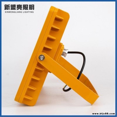 led防爆照明燈LED投光燈防爆燈戶外照明工程工業(yè)倉(cāng)庫(kù)車間