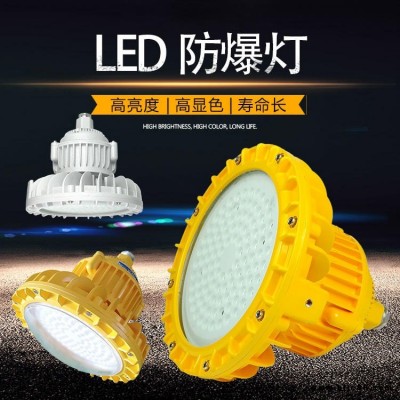 管掉式led防爆燈50w 一體式40wled防爆應急燈