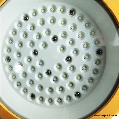 LED防爆燈石油化工火力發(fā)電廠加油站化工廠用國標(biāo)護防爆工廠燈