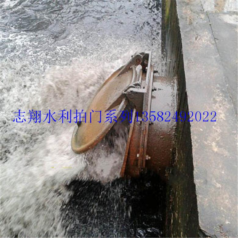 玻璃鋼拍門 法蘭式鑄鐵拍門 鋼制圓拍門商家