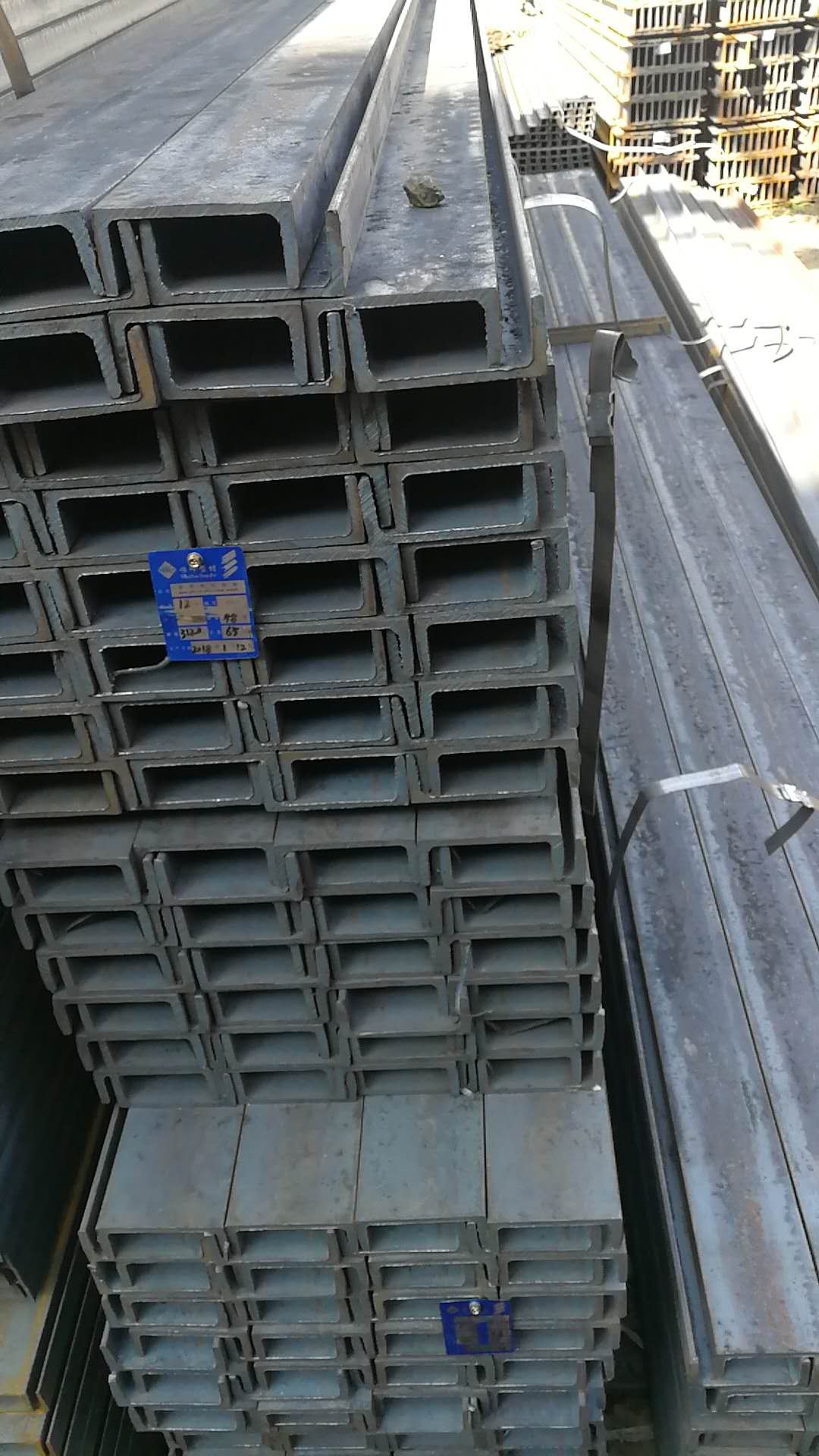252479.jpg