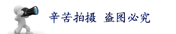 經(jīng)銷(xiāo)批發(fā) q235b鋼板 熱軋鋼板 建筑裝修專(zhuān)用板材示例圖2