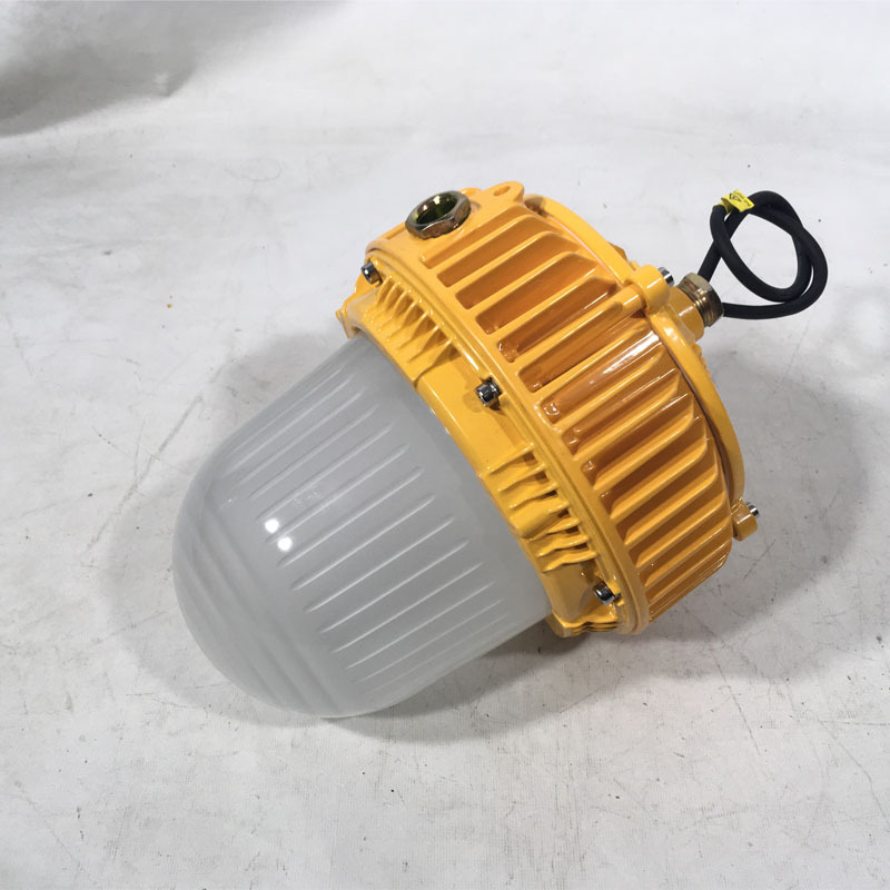 LED防爆燈100W  投光泛光燈  50w油站防爆燈圓形 led三防燈70W示例圖4