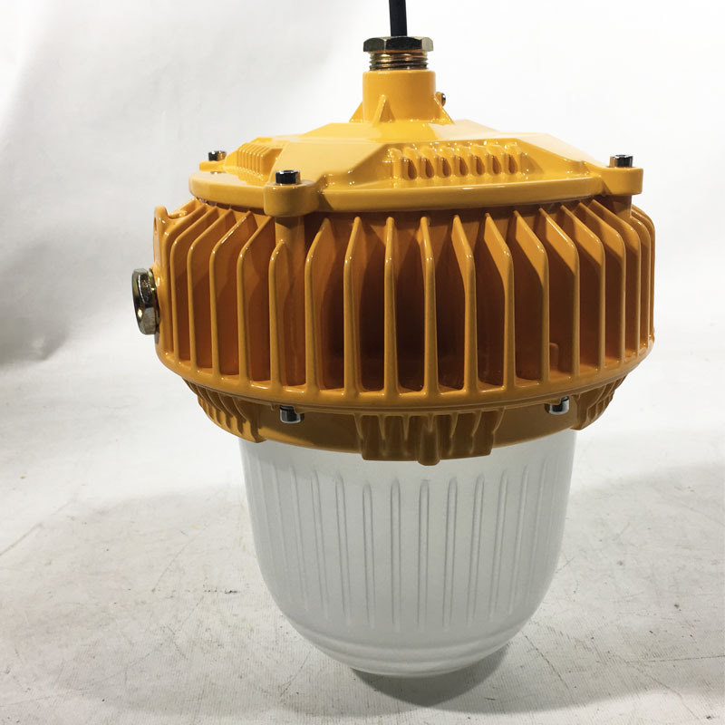 LED防爆燈100W  投光泛光燈  50w油站防爆燈圓形 led三防燈70W示例圖3