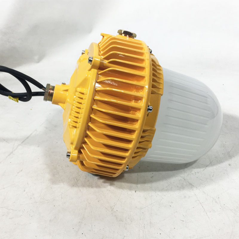 LED防爆燈100W  投光泛光燈  50w油站防爆燈圓形 led三防燈70W示例圖2