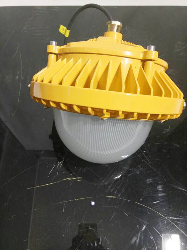 海洋王9186 led防爆泛光燈 加油站防爆燈100W 護(hù)欄式led投光燈示例圖2