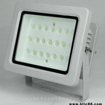 華榮GT311-XL80投光燈LED投光燈GT311-XL8080W220V
