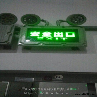 BYY防爆雙頭應(yīng)急燈 應(yīng)急照明雙頭燈 防爆疏散指示燈