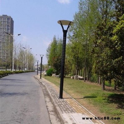 衡水庭院燈 小區(qū)公園LED庭院燈 雙頭庭院燈