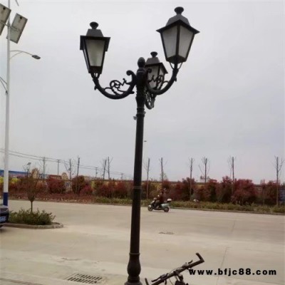 4米景觀燈報(bào)價(jià) 石家莊景觀燈 led景觀燈