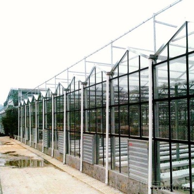 冬天的月季大棚建造預算 冬天草莓大棚建設 冬桃大棚造價 旭航8