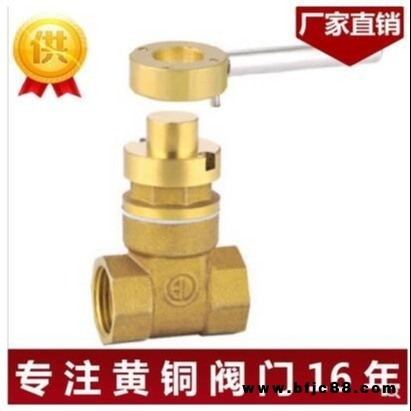 磁性鎖閉帶鎖銅閘閥 4分DN15 6分20 水表前銅閥門(mén) 鑰匙另購(gòu)  天諾達(dá)廠家