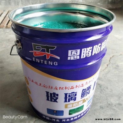 恩騰現貨批發 乙烯基酯玻璃鱗片膠泥 脫硫塔專用樹脂玻璃鱗片膠泥 玻璃鱗片樹脂涂料