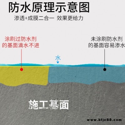 九坤 堵漏王快干水泥防水劑 屋面外墻廚衛陽臺防水劑 防潮劑