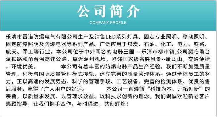NTC9200 防震型投光燈 1000W抗震型投光燈  鐵路投光燈示例圖4