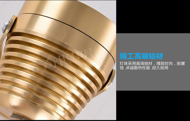 戶外防水3W5W土豪金色投射燈庭院花園亮化led投光燈照樹燈示例圖17