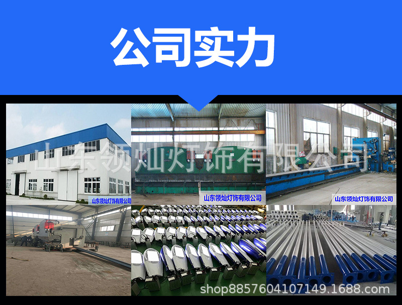 德州庭院燈廠家直銷小區道路專用3-5米LED多種燈頭可選景觀庭院燈示例圖2