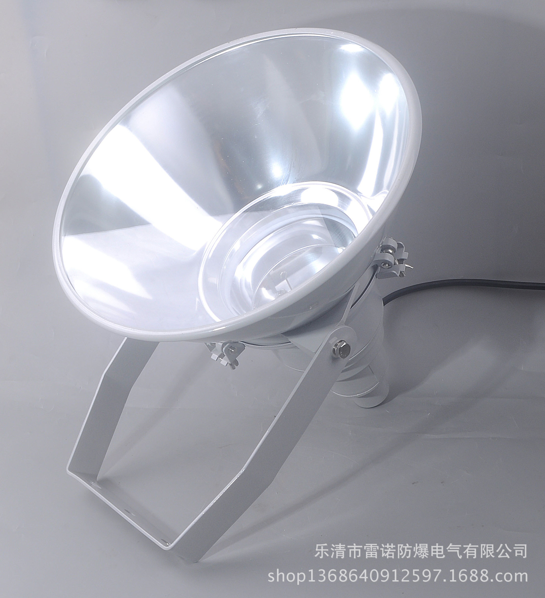NTC9200-J1000防震型投光燈 歐司朗金鹵燈1000W示例圖2