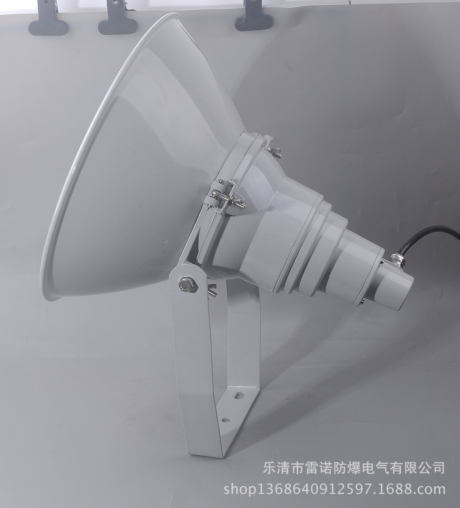 NTC9200-J1000防震型投光燈 歐司朗金鹵燈1000W示例圖1