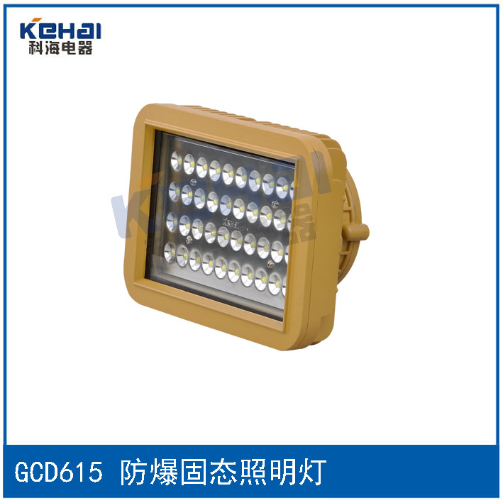 BTD-250/400防爆投光燈(一體式)示例圖7