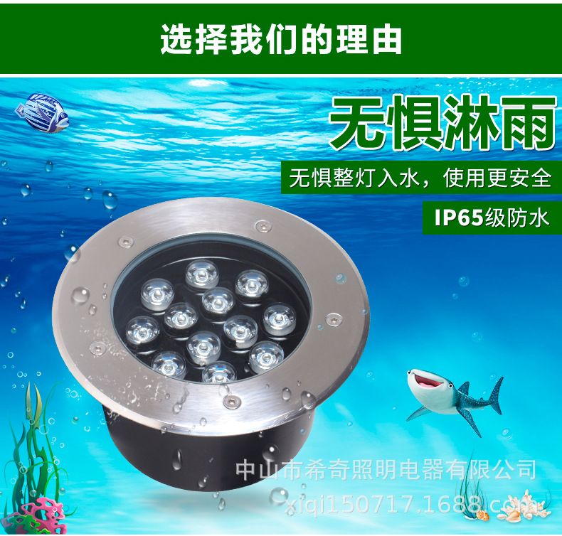 草坪燈地埋燈led戶外防水嵌入式照樹(shù)燈庭院燈七彩埋地?zé)艄珗@別墅示例圖2