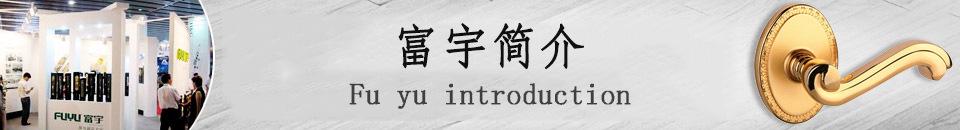 富宇FUYU	鋅合金別墅大門鎖	豪華入戶木門門鎖	中山鎖具生產(chǎn)廠家示例圖9