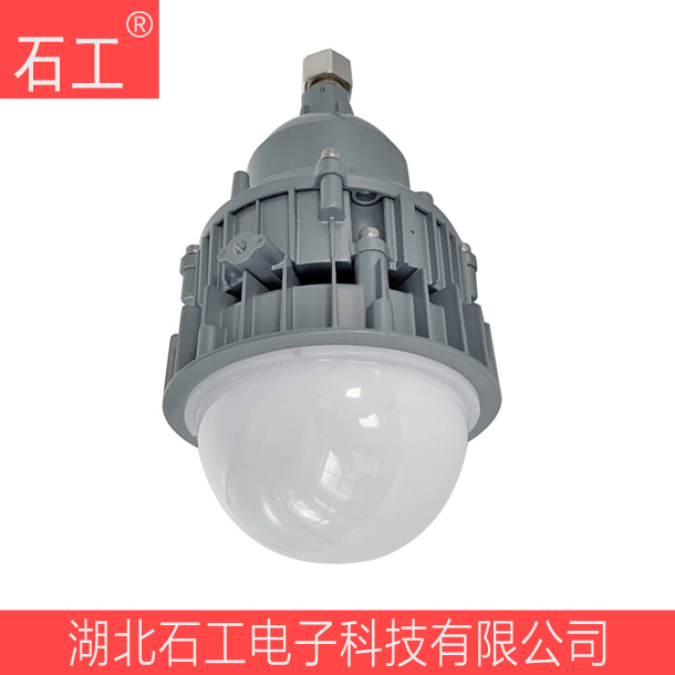 防水防塵防腐燈\NFC9190彎桿式 30W 220V\海洋王（含安裝附件）