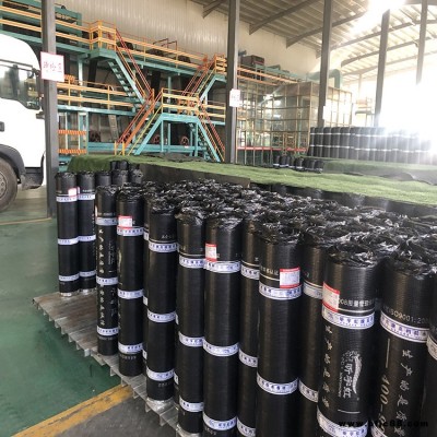 耐根穿刺防水卷材 化學阻根防水卷材 專業供應