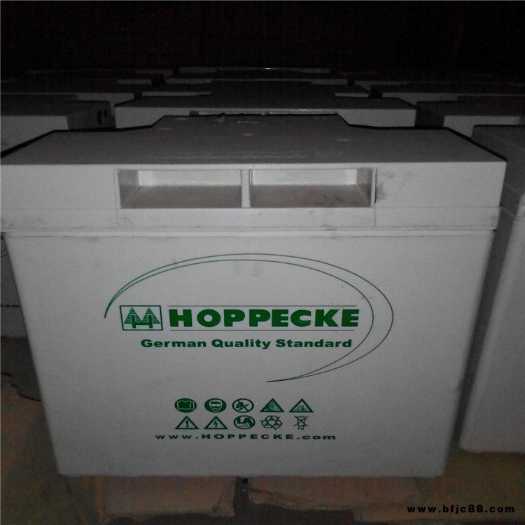 荷貝克蓄電池6-GFMJ-51 直流屏配電柜12V51AH 機(jī)房配套UPS電源配套