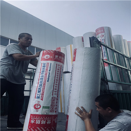 高分子防水卷材 防水卷材 防水材料 防水卷材價格