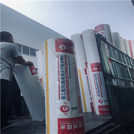 高分子防水卷材 屋面專用防水卷材 復(fù)合防水卷材 廠家直銷