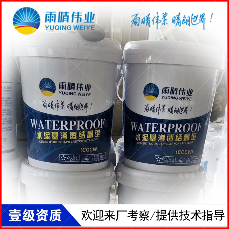 湖州JS聚合物修補堵漏劑涂料廠家交貨快