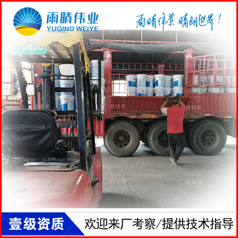 湖州JS聚合物修補堵漏劑涂料今日價格