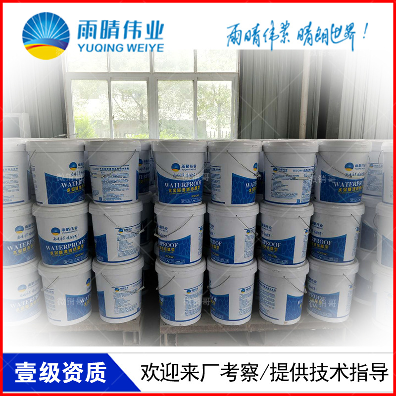 湖州JS聚合物修補堵漏劑涂料廠家現貨供應